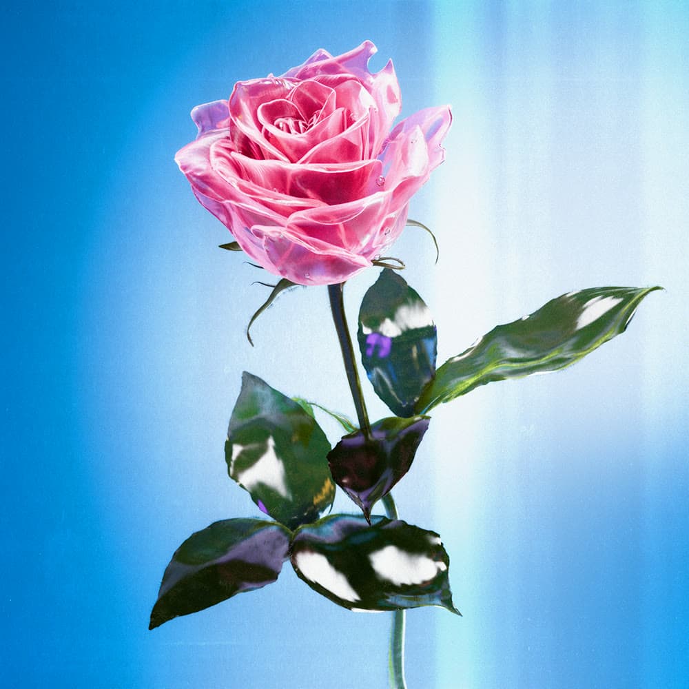 Flower 48 by Olivia Pedigo