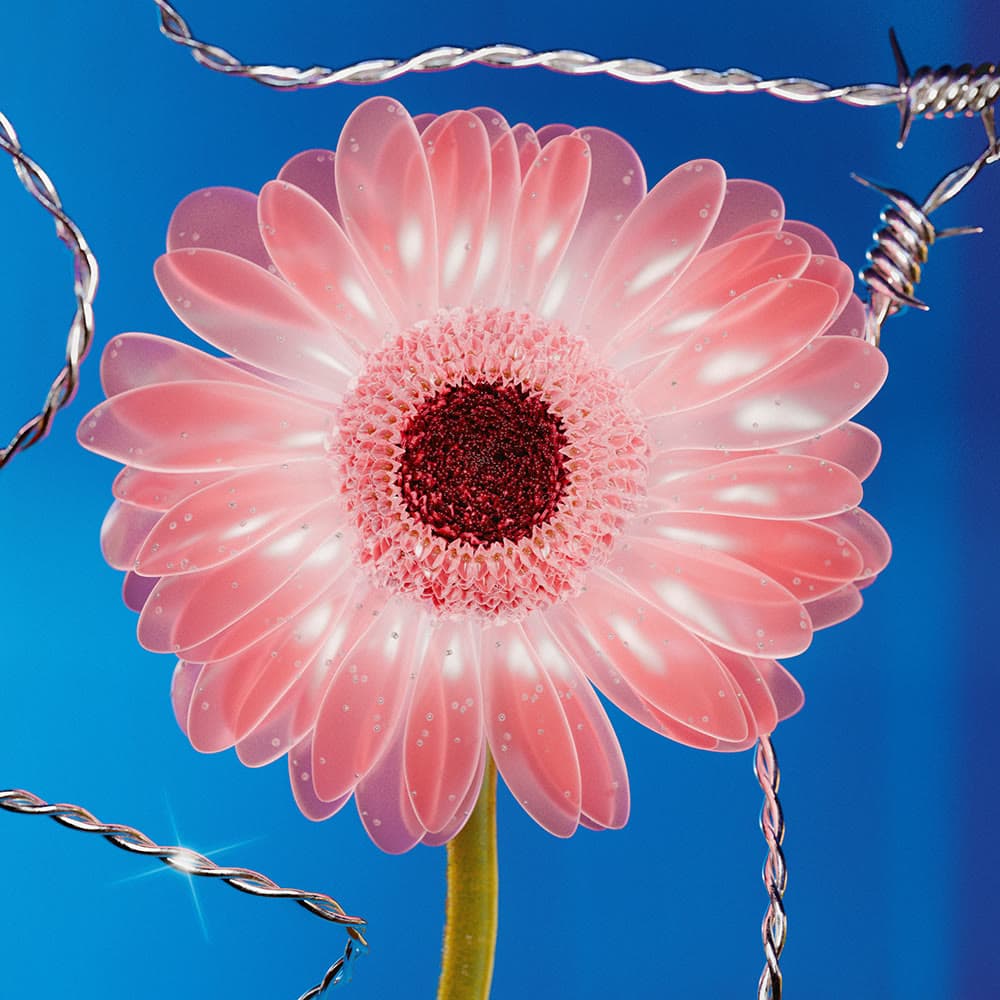 Flower 50 by Olivia Pedigo