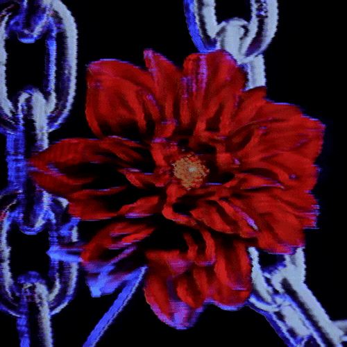 Flower 27 (animated)